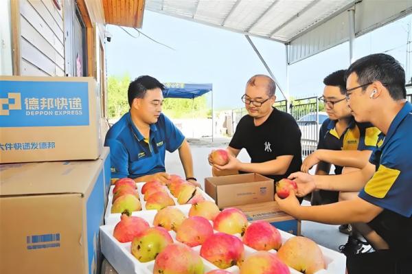 德邦物流优化农特产品运输方案，助力乡村经济