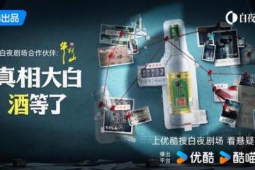 暑期档追剧季，让优酷白夜剧场陪你“牛气一夏”