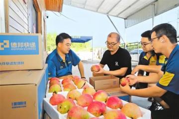 德邦物流优化农特产品运输方案，助力乡村经济